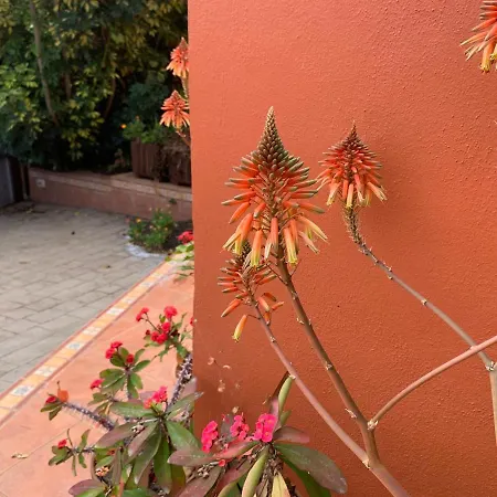 La Casita De Descanso - Haus Der Ruhe - La Luz La Orotava